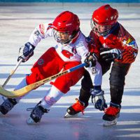 Youth Hockey