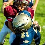 Bullying in Youth Sports